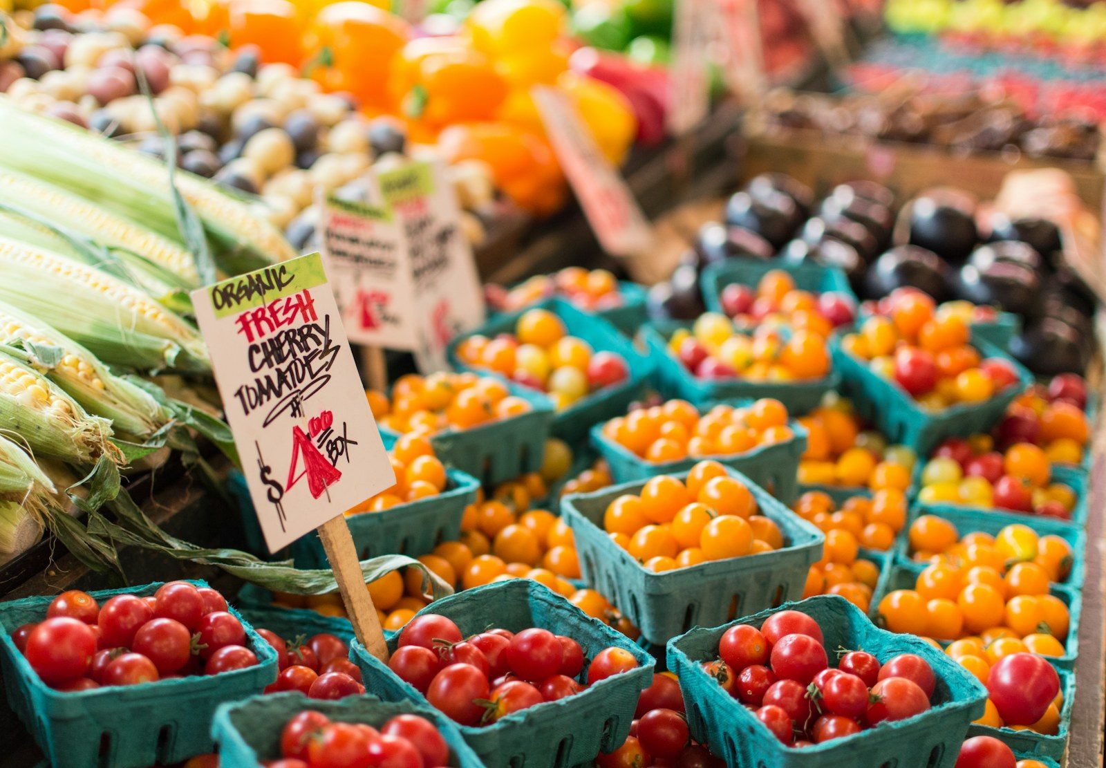 Comment adapter son alimentation aux différentes saisons sportives