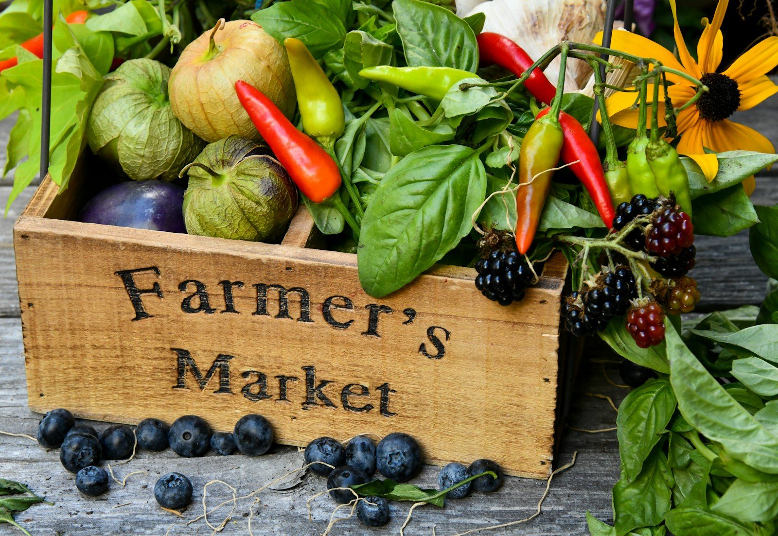 L’importance de la diversité alimentaire pour les athlètes