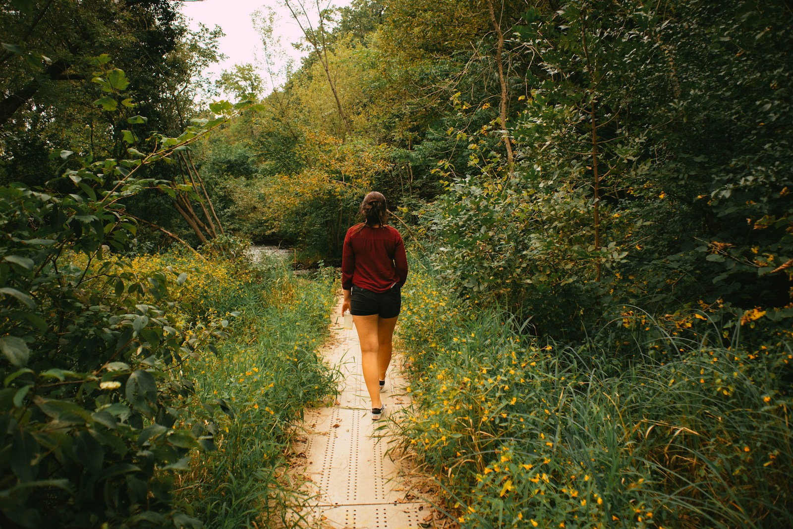 A runner on a forest trail at an easy pace, chest strap heart rate monitor visible through a thin technical shirt, early morning light