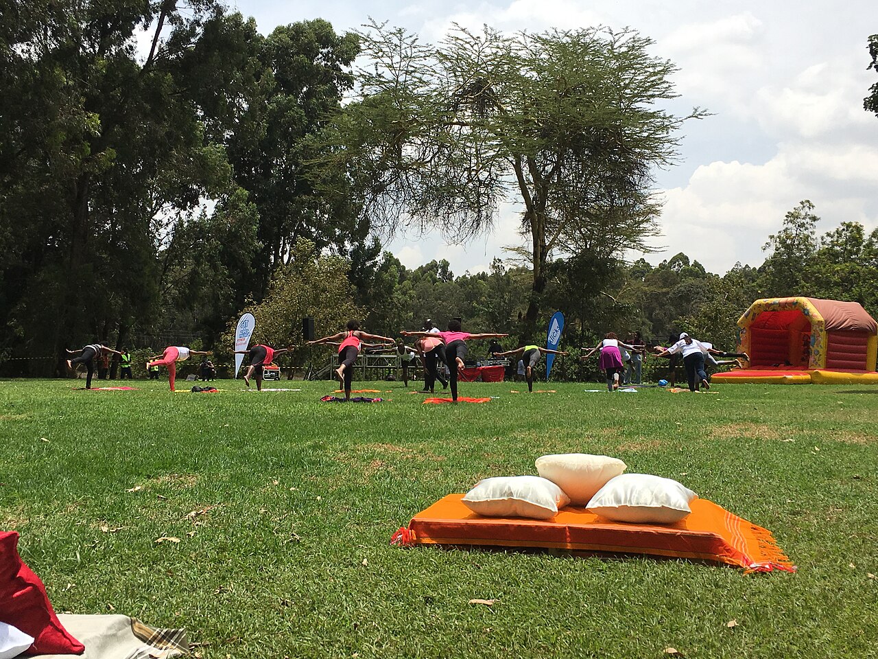 yoga fitness (foto: FIT-A-PALOOZA / CC BY-SA 4.0, Wikimedia Commons)