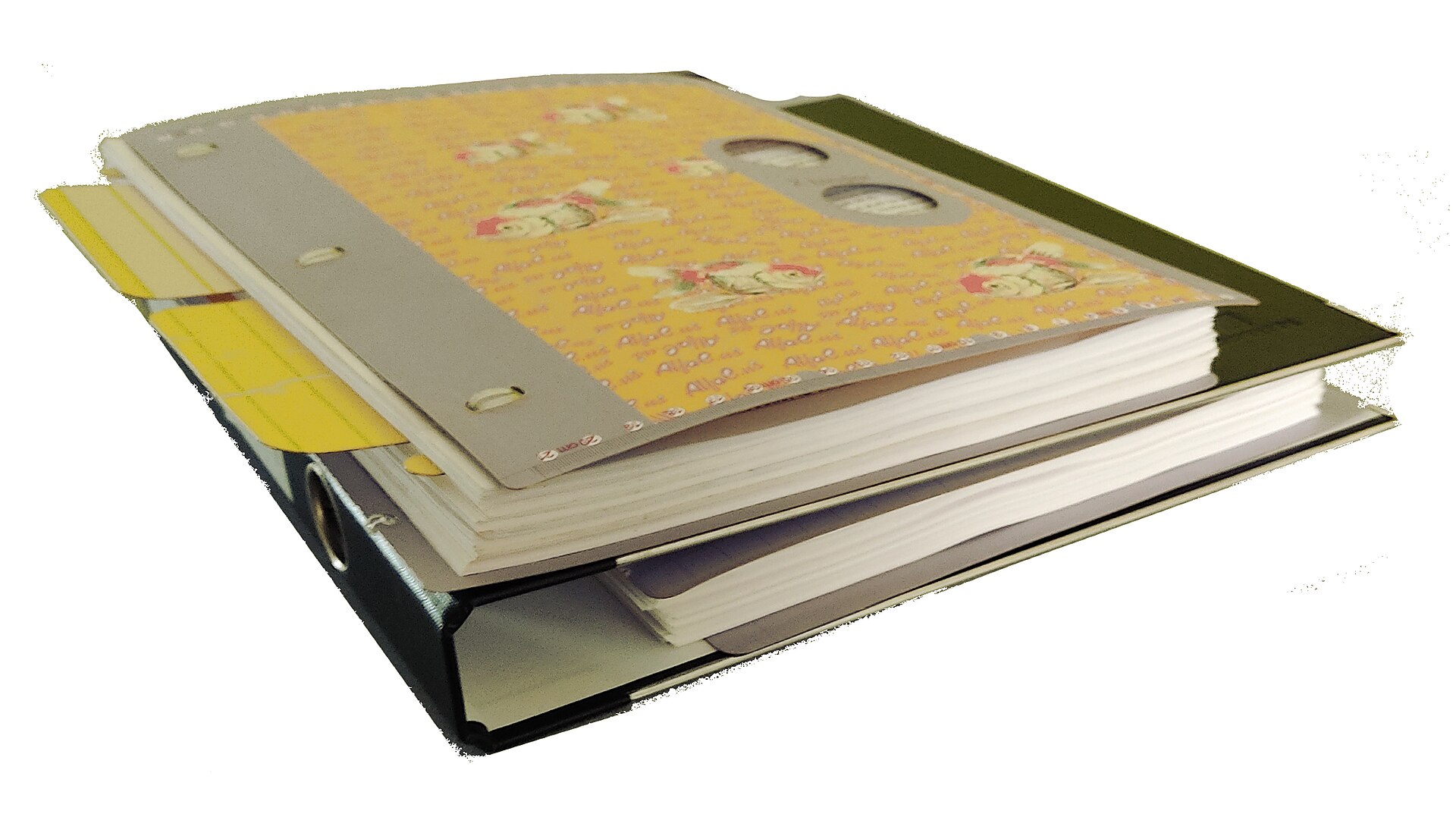 binder folder papers