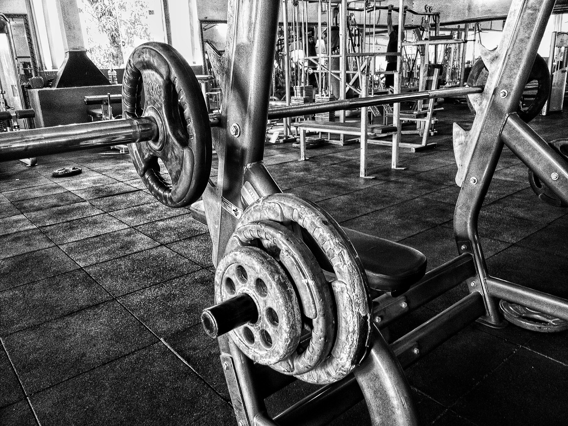 barbell bench press gym