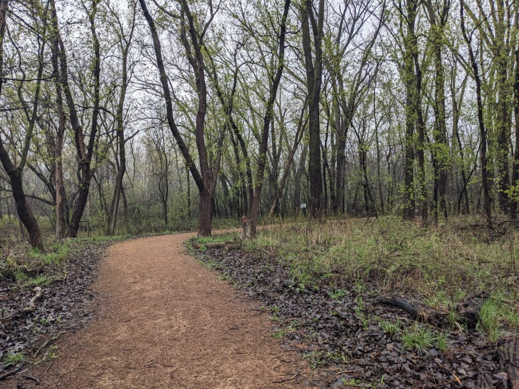 Allée goudronnée d'un parc bordée d'arbres, praticable pour une marche lente
