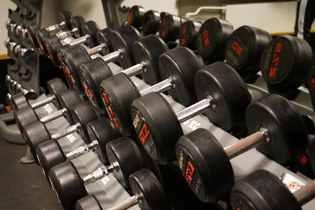 Rangée d'haltères courts alignés sur un support en acier dans une salle de musculation